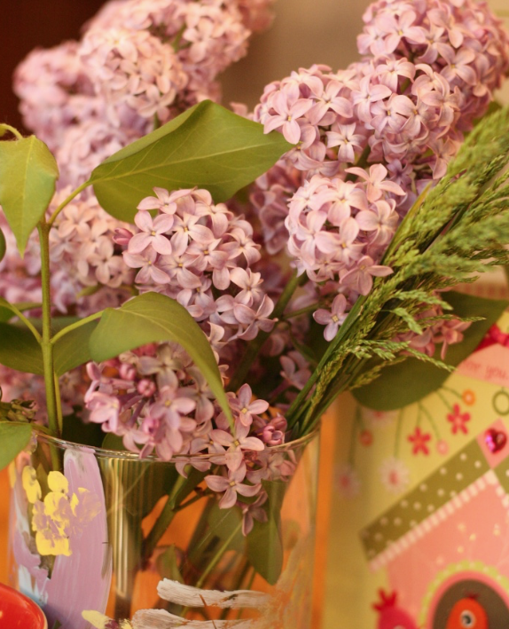 lilacs in spring