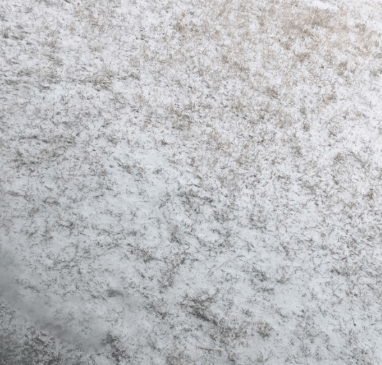 spring snow on grass